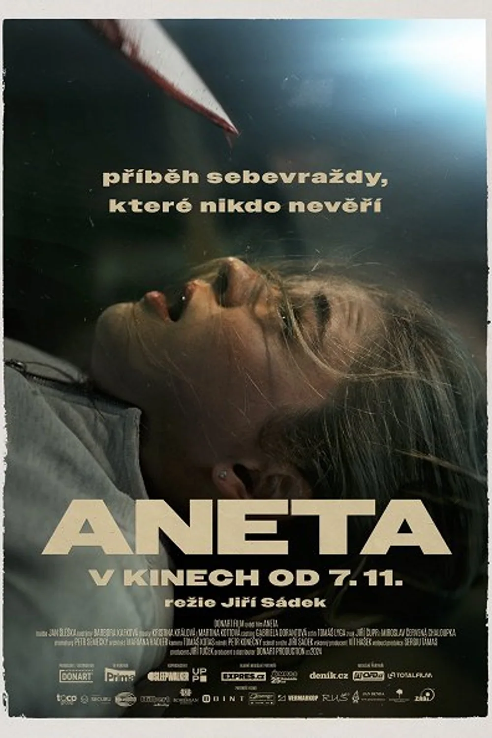 پوستر فیلم آنتا