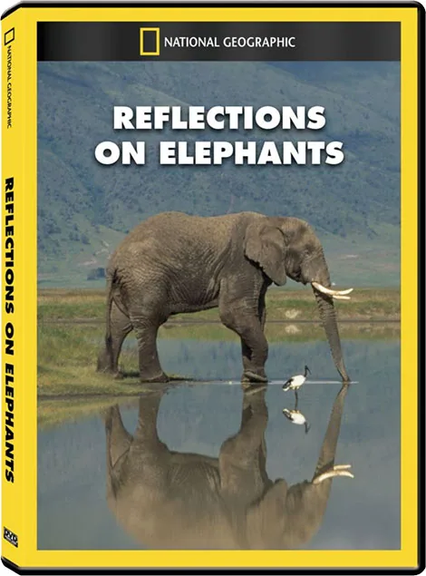 پوستر فیلم Reflections on Elephants