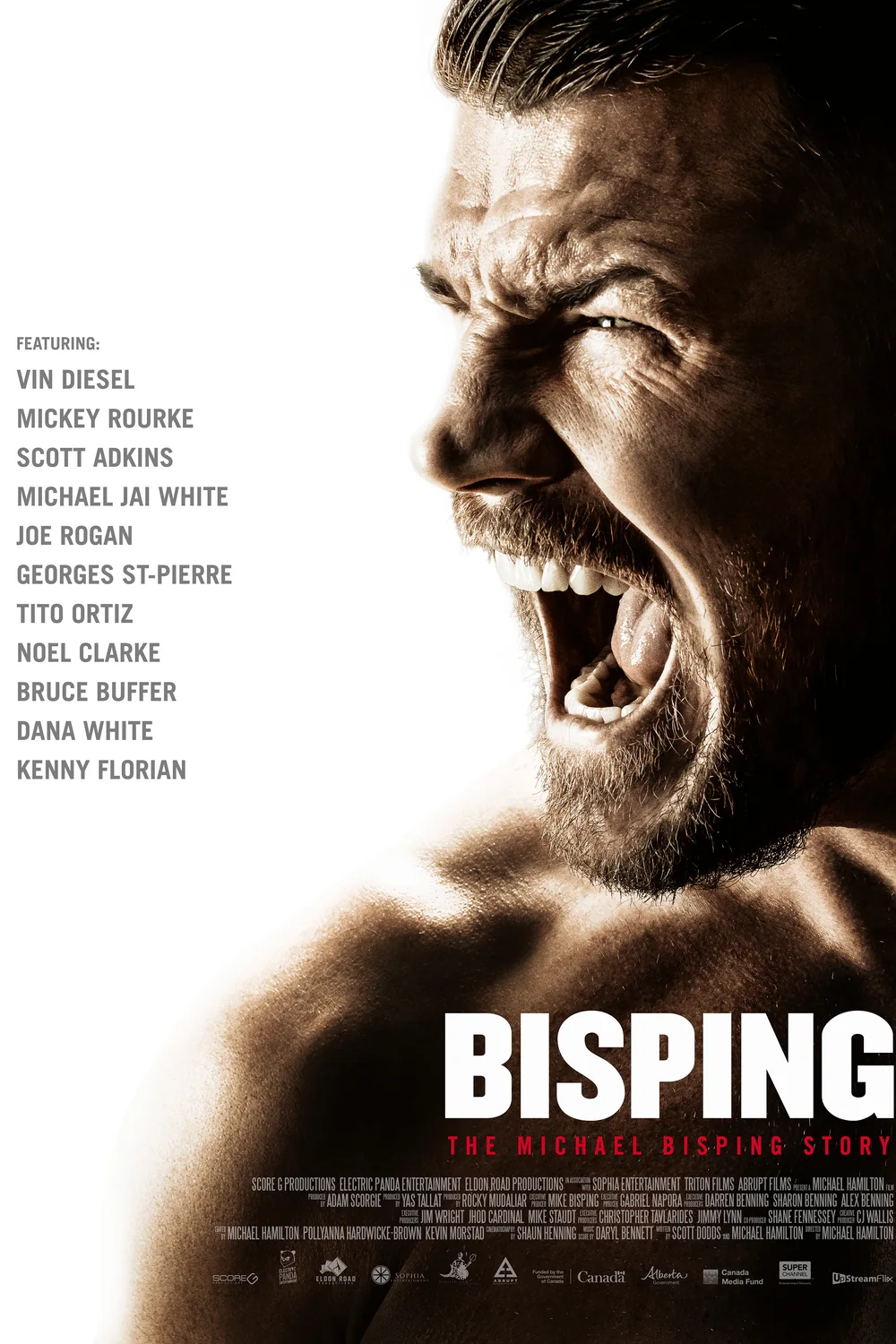 پوستر فیلم Bisping