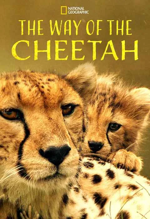 پوستر فیلم The Way of the Cheetah