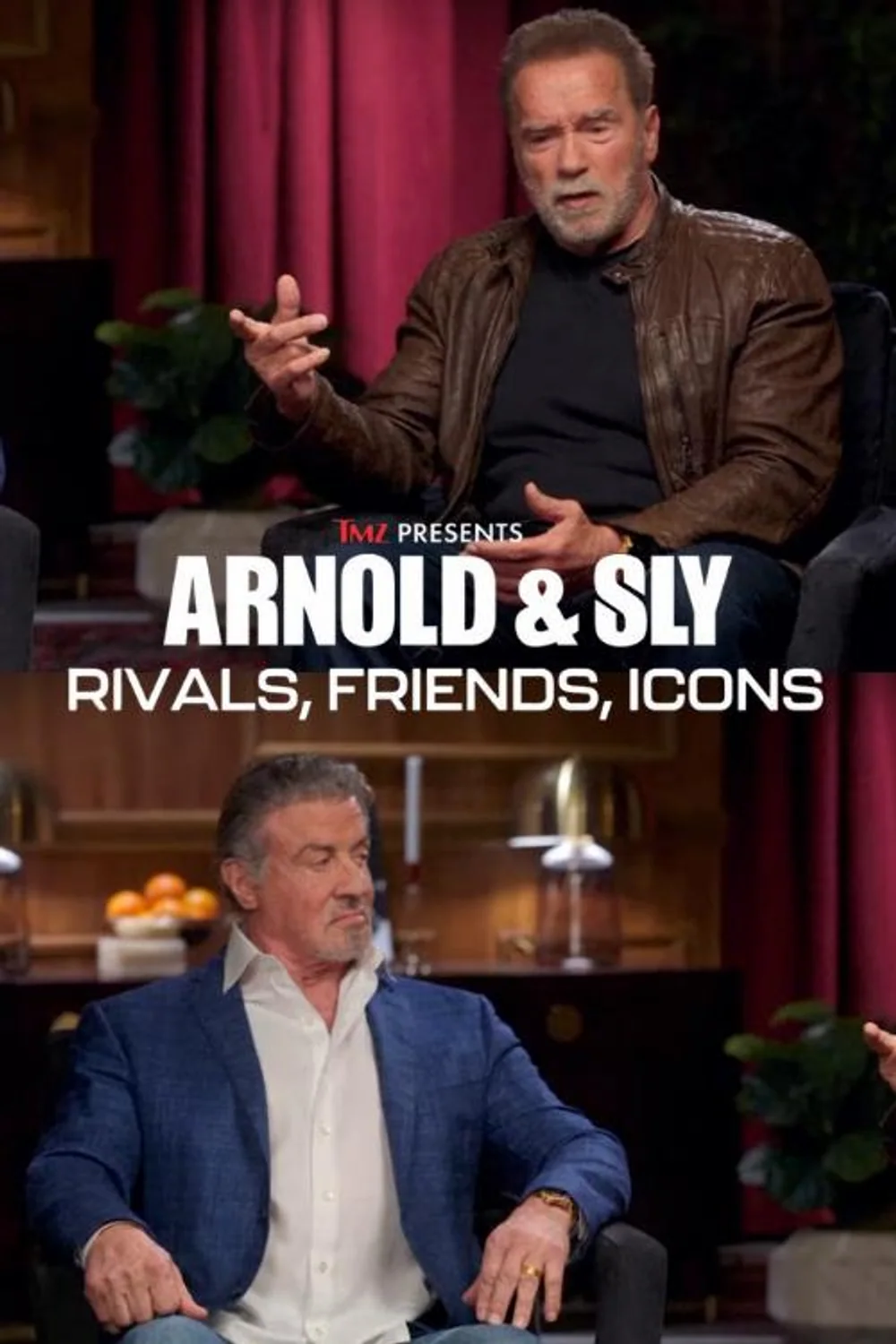 پوستر فیلم Arnold & Sly Rivals Friends Icons