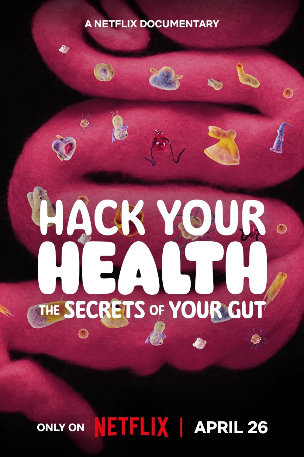 پوستر فیلم Hack Your Health The Secrets of Your Gut