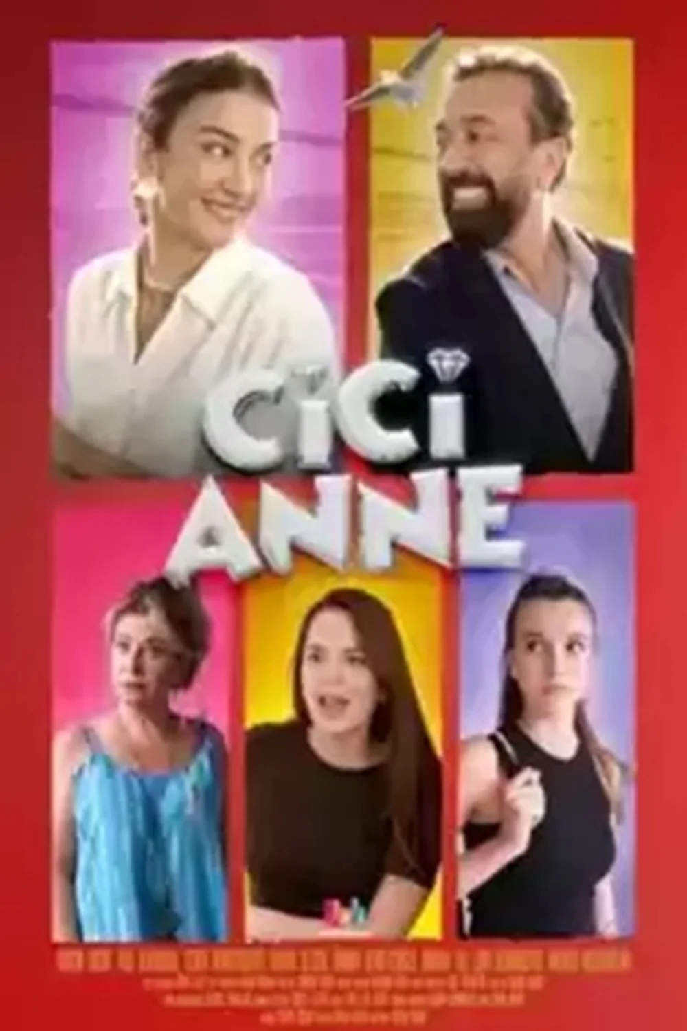 پوستر فیلم مادر ناتنی