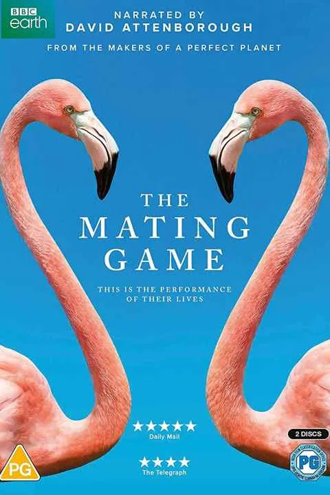 پوستر سریال The Mating Game