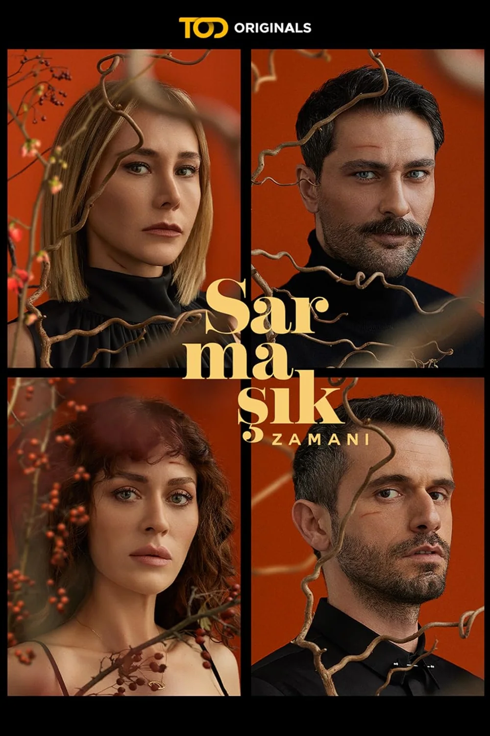 پوستر سریال Sarmasik Zamani