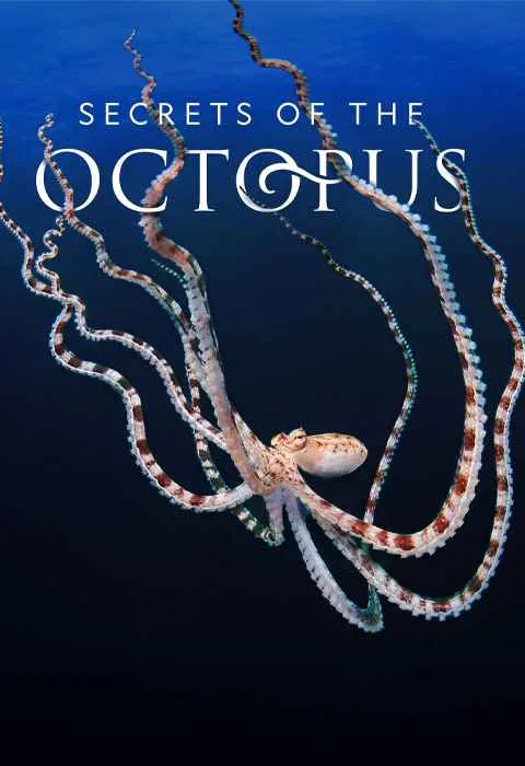 پوستر سریال Secrets of the Octopus